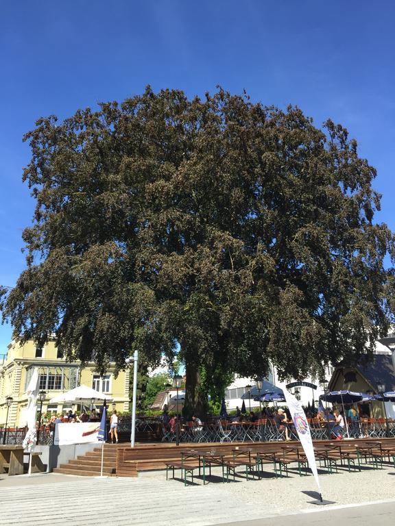 Rhein Melodie Riverview Luxury Konstanz Rom bilde